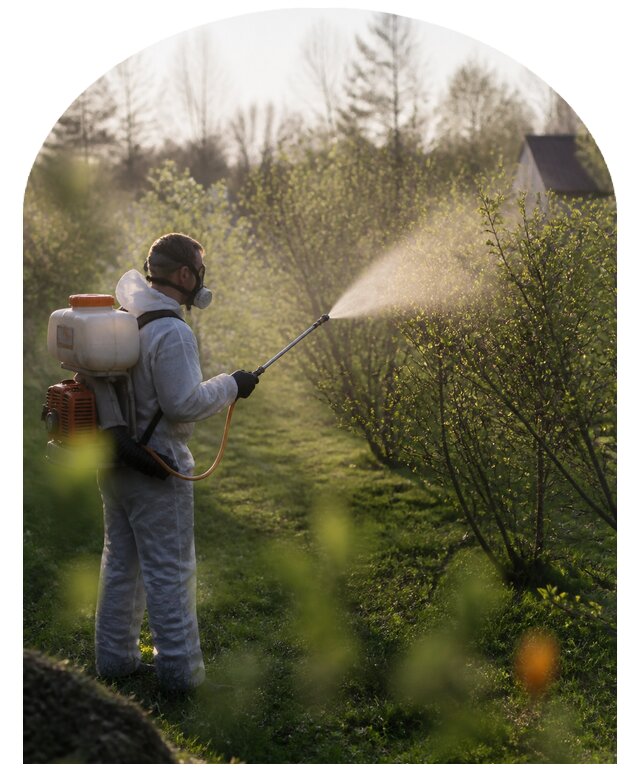 Профессиональная обработка сада от вредителей в Владивостоке